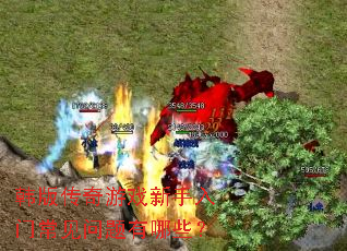 韩版传奇游戏新手入门常见问题有哪些? 韩版传奇游戏新手入门常见问题有哪些?