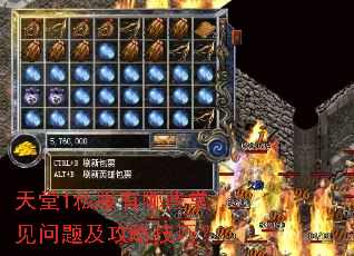 ����1˽������Щ�������⼰���Լ��ɣ�