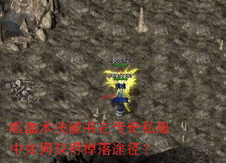 噬血术技能书在传奇私服中如何获得掉落途径? 噬血术技能书在传奇私服中如何获得掉落途径?
