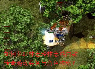 如何获取林志玲林志鸿同款传奇游戏装备与角色攻略? 如何获取林志玲林志鸿同款传奇游戏装备与角色攻略?