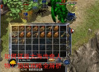 如何征服大海传奇人物?顶级攻略全解析 如何征服大海传奇人物?顶级攻略全解析
