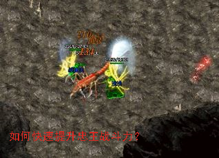 如何快速提升忠王战斗力? 如何快速提升忠王战斗力?
