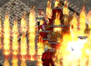 如何快速提升忠王战斗力? 如何快速提升忠王战斗力?