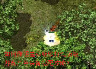 如何像明星私服般打造顶级游戏角色装备搭配攻略? 如何像明星私服般打造顶级游戏角色装备搭配攻略?