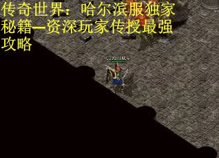 传奇世界：哈尔滨服独家秘籍—资深玩家传授最强攻略