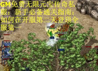GM免费无限元宝传奇私服：新手必备通关指南：如何在开服第二天登顶全服第一