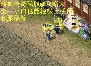 热血传奇私服sf攻略大全：小白也能轻松上手的私服秘笈