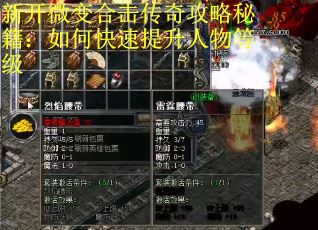 新开微变合击传奇攻略秘籍：如何快速提升人物等级