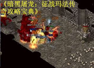 《暗黑屠龙：征战玛法传奇攻略宝典》