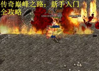 传奇巅峰之路：新手入门全攻略