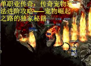 单职业传奇：传奇宠物玩法进阶攻略——宠物崛起之路的独家秘籍