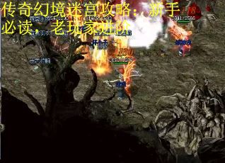 传奇幻境迷宫攻略：新手必读，老玩家进阶