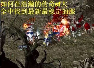 如何在浩瀚的传奇sf大全中找到最新最稳定的服