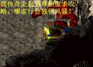 找传奇走起至尊新服求攻略：哪家行会独领风骚？