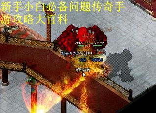 新手小白必备问题传奇手游攻略大百科
