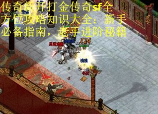 传奇新开打金传奇sf全方位攻略知识大全：新手必备指南，老手进阶秘籍