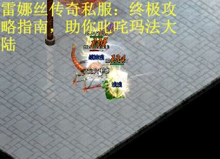 雷娜丝传奇私服：终极攻略指南，助你叱咤玛法大陆