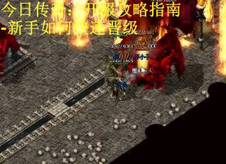 今日传奇：开服攻略指南-新手如何快速晋级