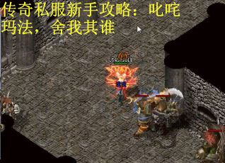 传奇私服新手攻略：叱咤玛法，舍我其谁