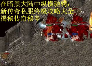 在暗黑大陆中纵横驰骋：新传奇私服终极攻略大全揭秘传奇秘辛