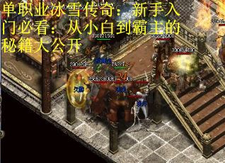 单职业冰雪传奇：新手入门必看：从小白到霸主的秘籍大公开