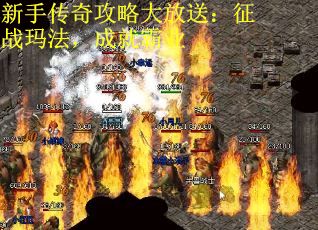新手传奇攻略大放送：征战玛法，成就霸业