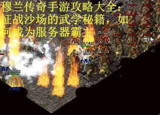 穆兰传奇手游攻略大全：征战沙场的武学秘籍，如何成为服务器霸主