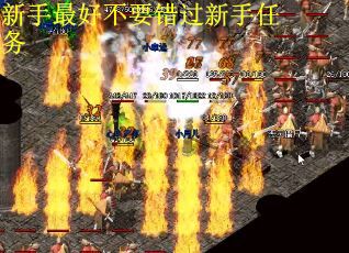 新手最好不要错过新手任务