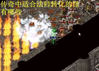 传奇中适合法师转化的怪有哪些