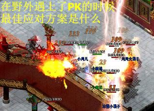 在野外遇上了PK的时候最佳应对方案是什么