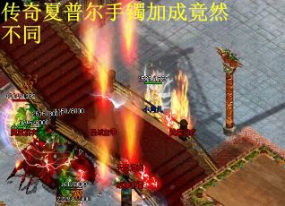 传奇夏普尔手镯加成竟然不同