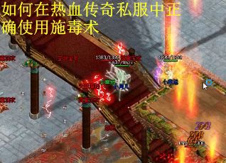 如何在热血传奇私服中正确使用施毒术