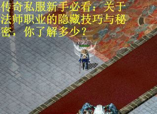 传奇私服新手必看：关于法师职业的隐藏技巧与秘密，你了解多少？