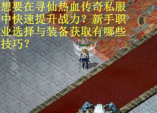 想要在寻仙热血传奇私服中快速提升战力？新手职业选择与装备获取有哪些技巧？