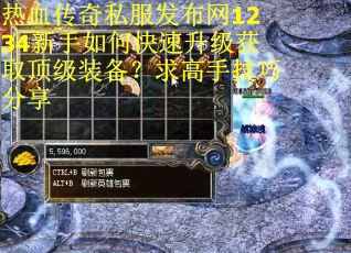 热血传奇私服发布网1234新手如何快速升级获取顶级装备？求高手技巧分享