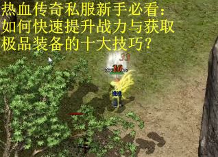 热血传奇私服新手必看：如何快速提升战力与获取极品装备的十大技巧？