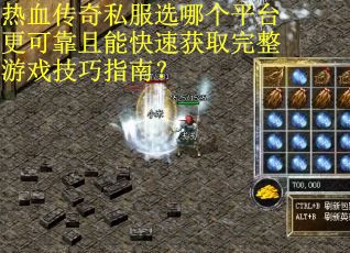 热血传奇私服选哪个平台更可靠且能快速获取完整游戏技巧指南？