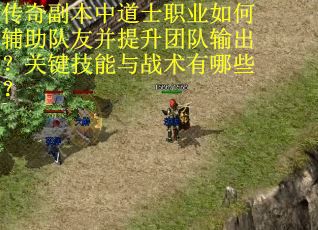 传奇副本中道士职业如何辅助队友并提升团队输出？关键技能与战术有哪些？