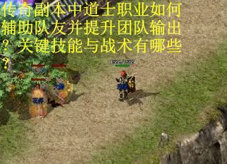 传奇副本中道士职业如何辅助队友并提升团队输出？关键技能与战术有哪些？