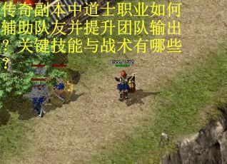 传奇副本中道士职业如何辅助队友并提升团队输出？关键技能与战术有哪些？
