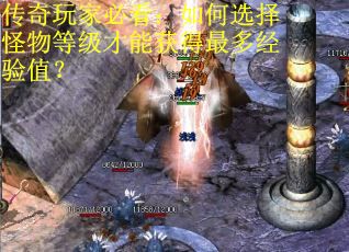 传奇玩家必看：如何选择怪物等级才能获得最多经验值？