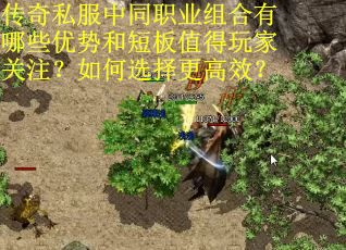 传奇私服中同职业组合有哪些优势和短板值得玩家关注？如何选择更高效？