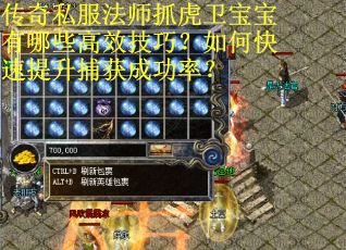 传奇私服法师抓虎卫宝宝有哪些高效技巧？如何快速提升捕获成功率？