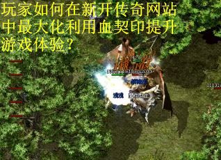 玩家如何在新开传奇网站中最大化利用血契印提升游戏体验？