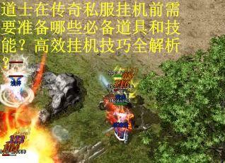 道士在传奇私服挂机前需要准备哪些必备道具和技能？高效挂机技巧全解析？