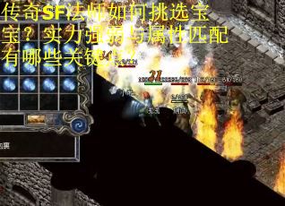 传奇SF法师如何挑选宝宝？实力强弱与属性匹配有哪些关键点？