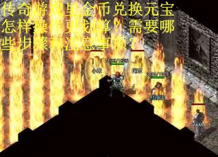 传奇游戏里金币兑换元宝怎样操作更划算？需要哪些步骤和注意事项？