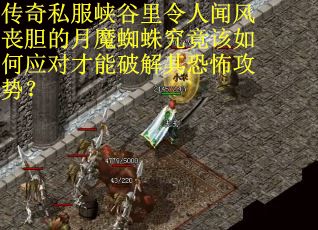 传奇私服峡谷里令人闻风丧胆的月魔蜘蛛究竟该如何应对才能破解其恐怖攻势？