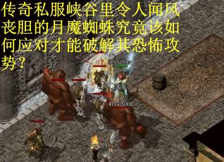 传奇私服峡谷里令人闻风丧胆的月魔蜘蛛究竟该如何应对才能破解其恐怖攻势？