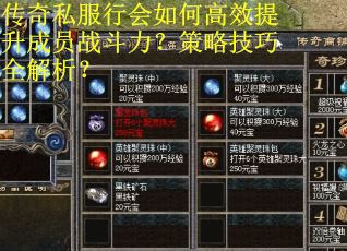 传奇私服行会如何高效提升成员战斗力？策略技巧全解析？